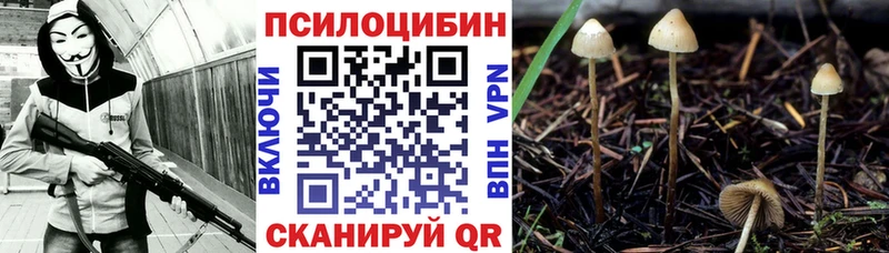 Галлюциногенные грибы MAGIC MUSHROOMS Чернушка